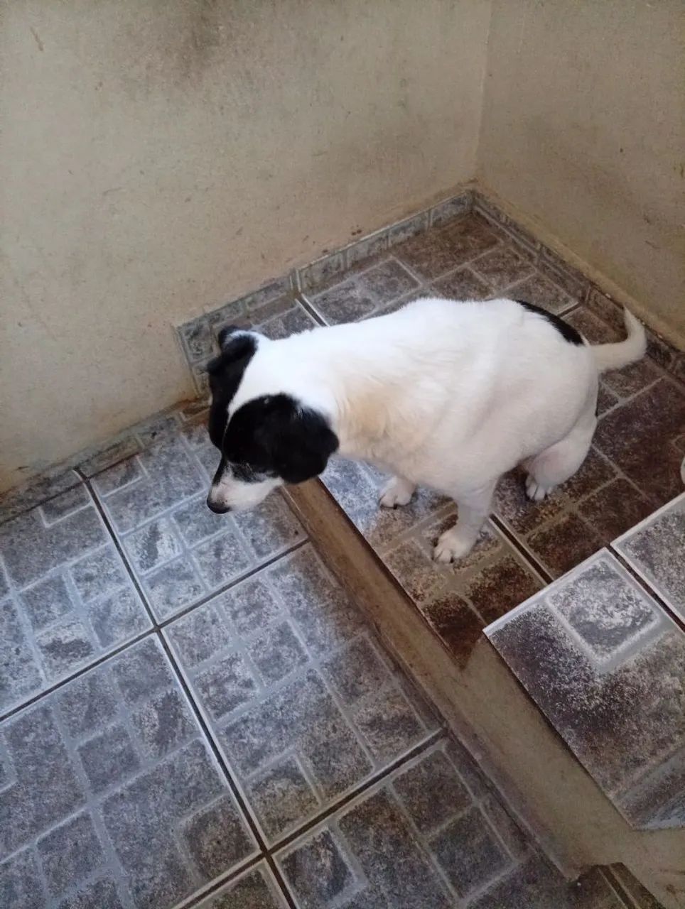 Doação 