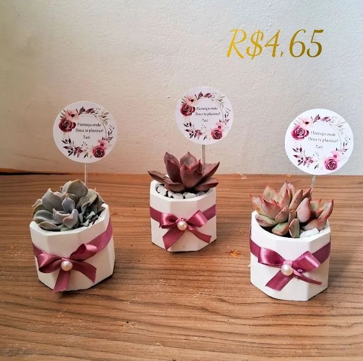 Lembrancinhas personalizadas suculentas - Foto 2