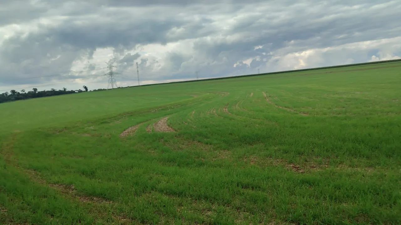 Sitio venda 