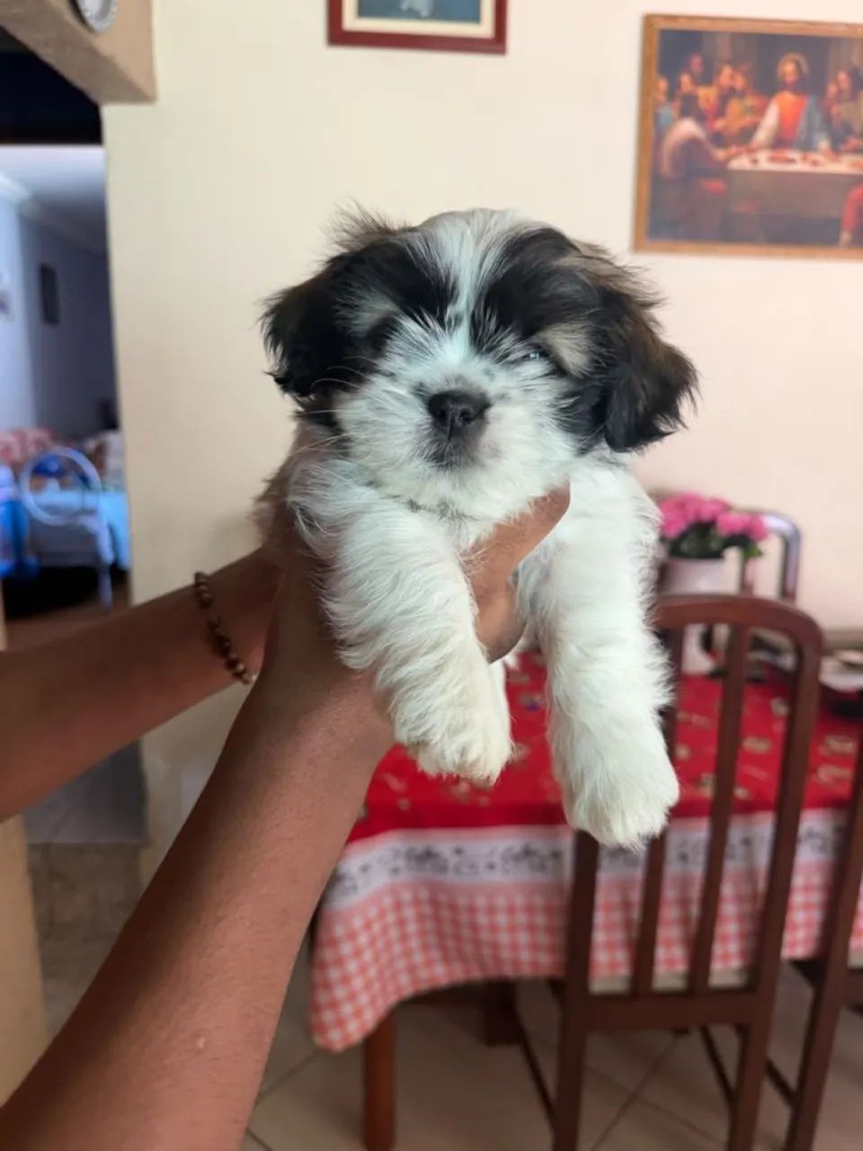 Vende-se - Foto 2