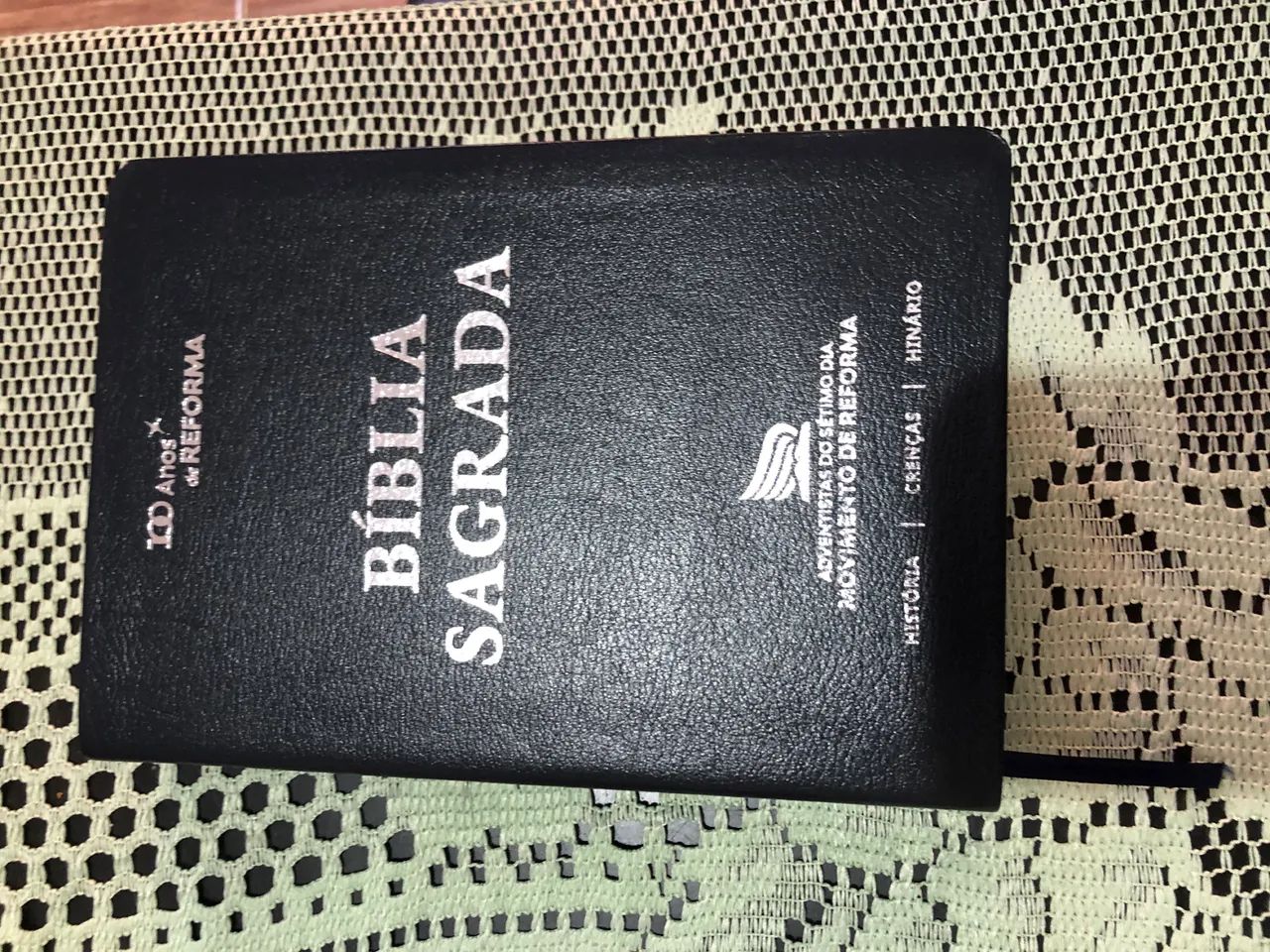 BÍBLIA SAGRADA NAA 