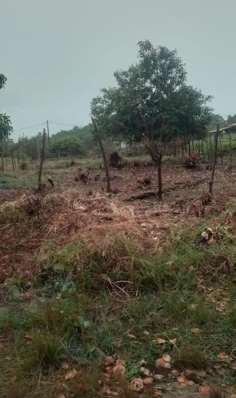 Oportunidade de Terreno em Lucena  - Foto 4