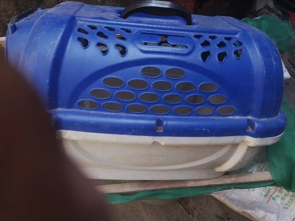 Caixa de transporte para animais  - Foto 2