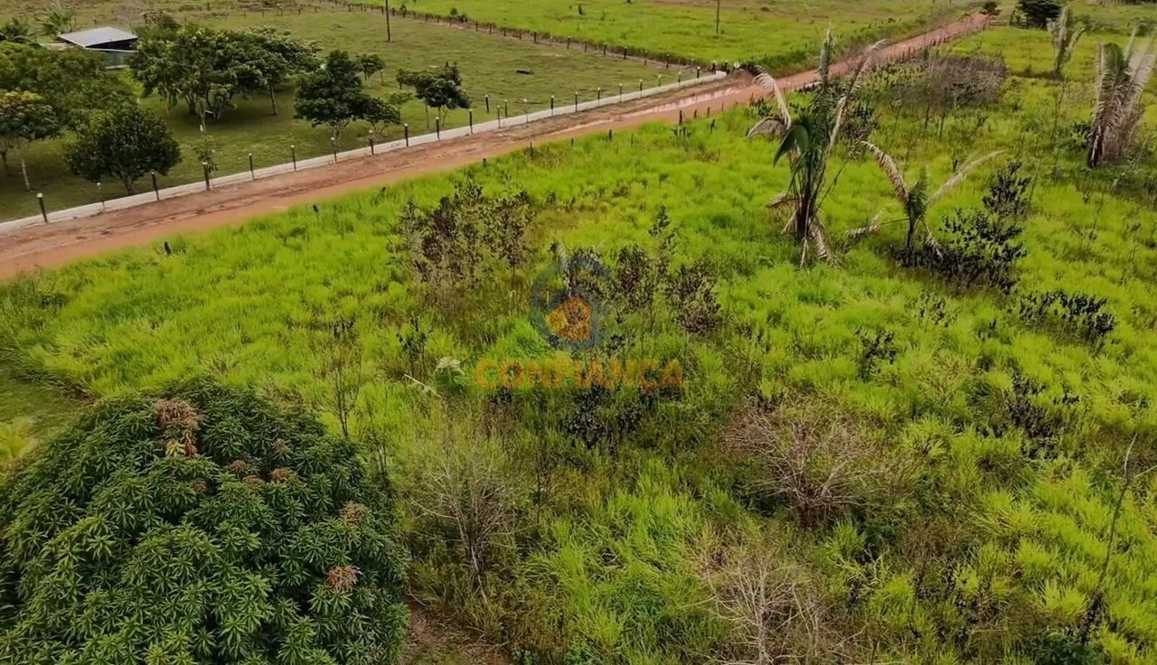 Chácara á Venda- BR 319 - Foto 4