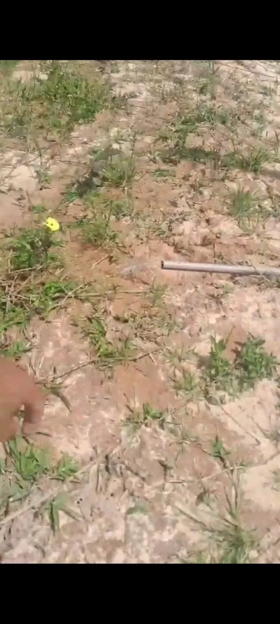 Terreno próximo ao condomínio Jardim Europa  - Foto 8