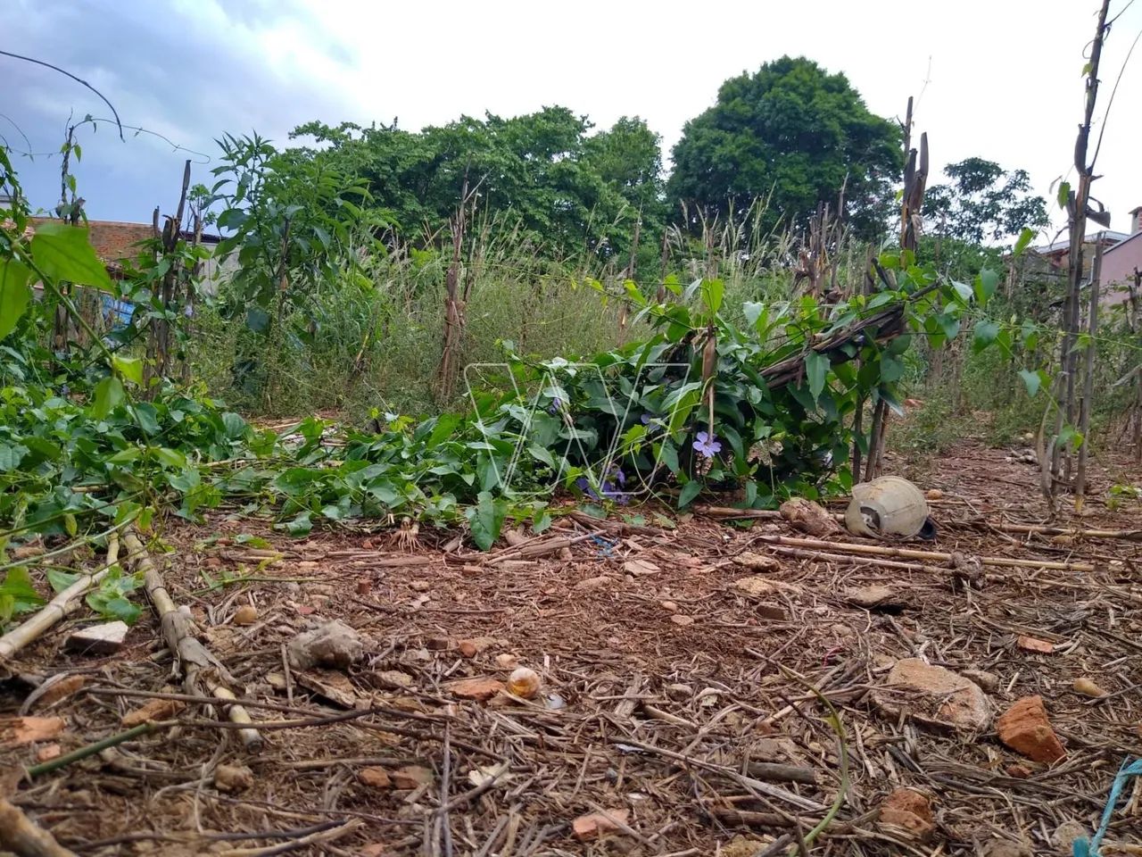 terreno - Sousas - Campinas - Foto 4