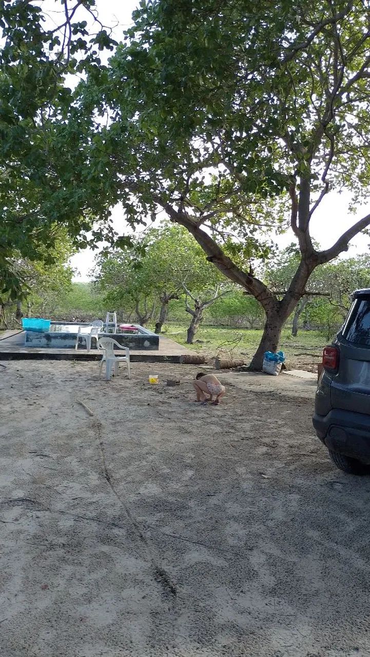 Vendo sítio  - Foto 5