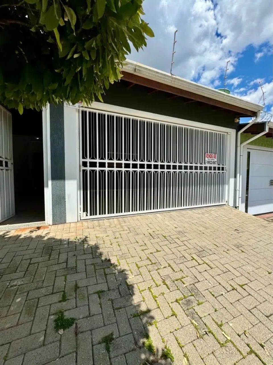 L.B PQ. CONTINENTAL / JAGUARÉ