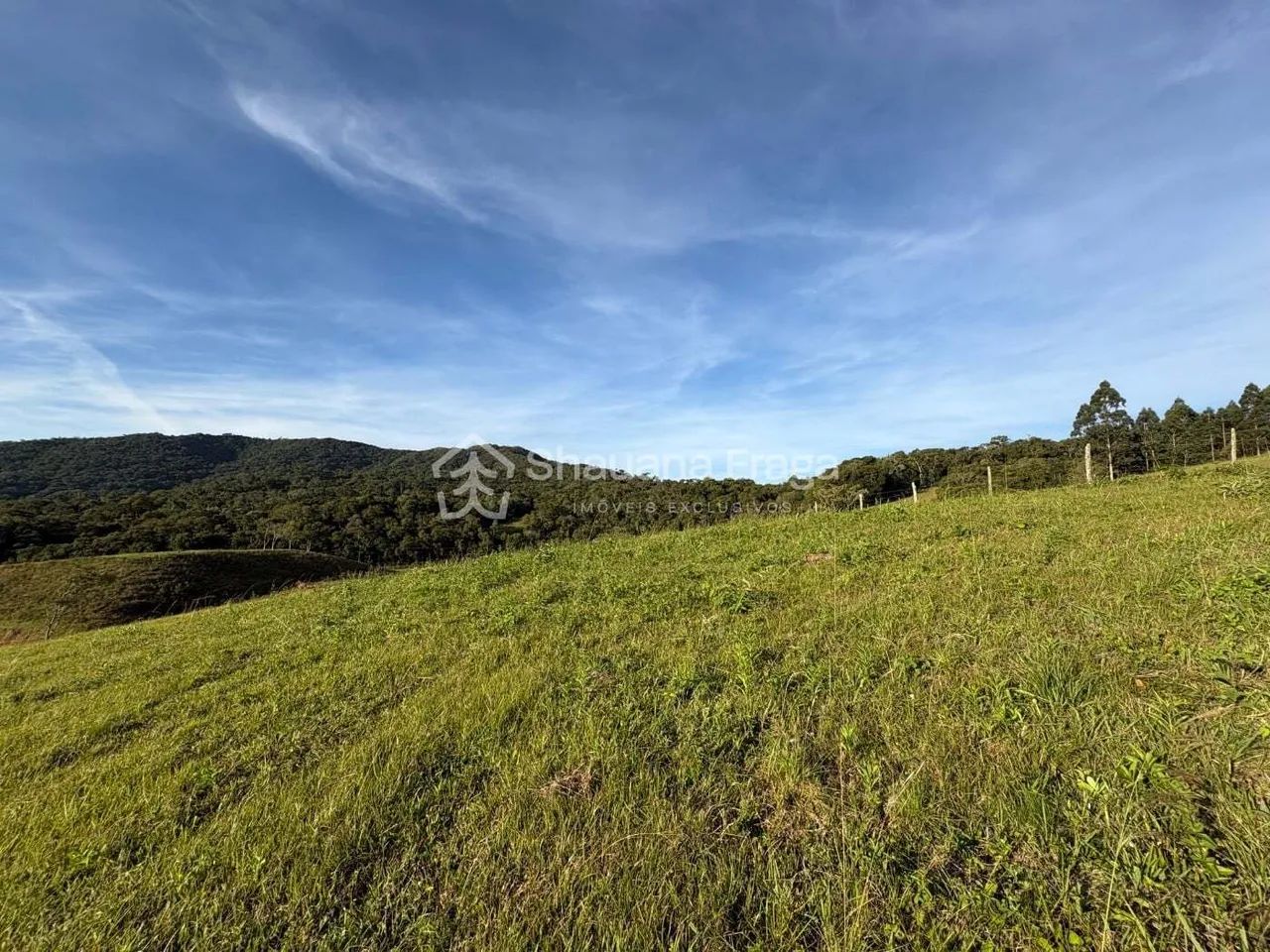 Terreno rural - Foto 4