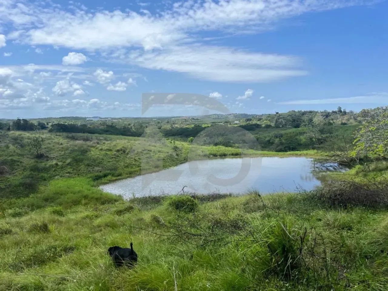 Sítio no Povoado Boa Nova com 40.837,50 m², Pastagem e Lagoa - Foto 5