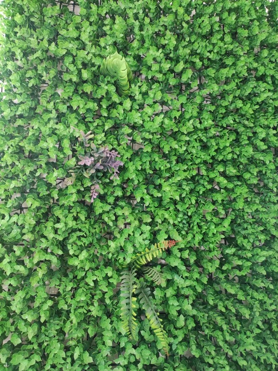 Muro Verde decoração  - Foto 3