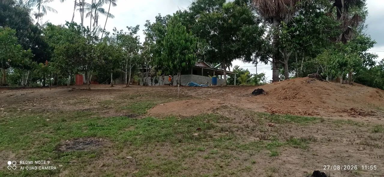 Vendo ou troco sítio no castanho  - Foto 5