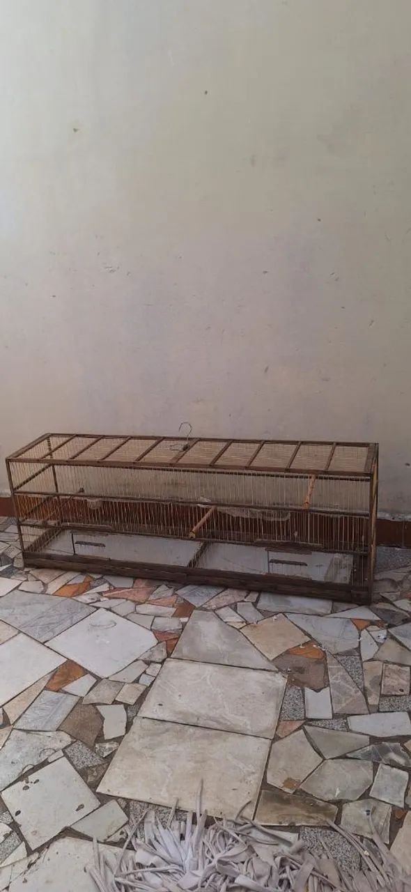Gaiola pra coleiro  - Foto 2