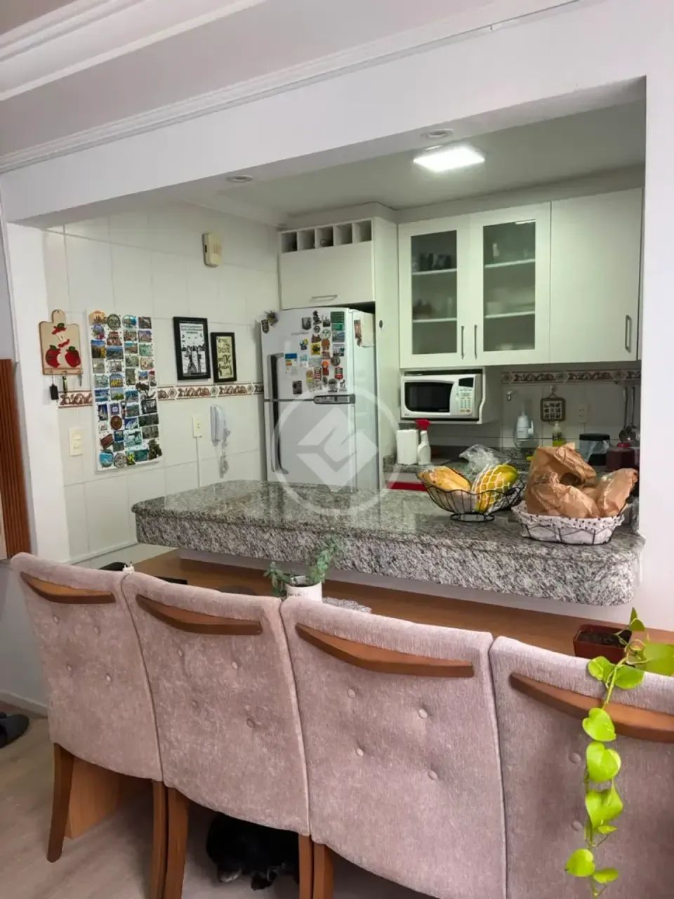 JF- Aparamento  com 2 quartos em Estreito - Florianópolis - SC - Foto 4