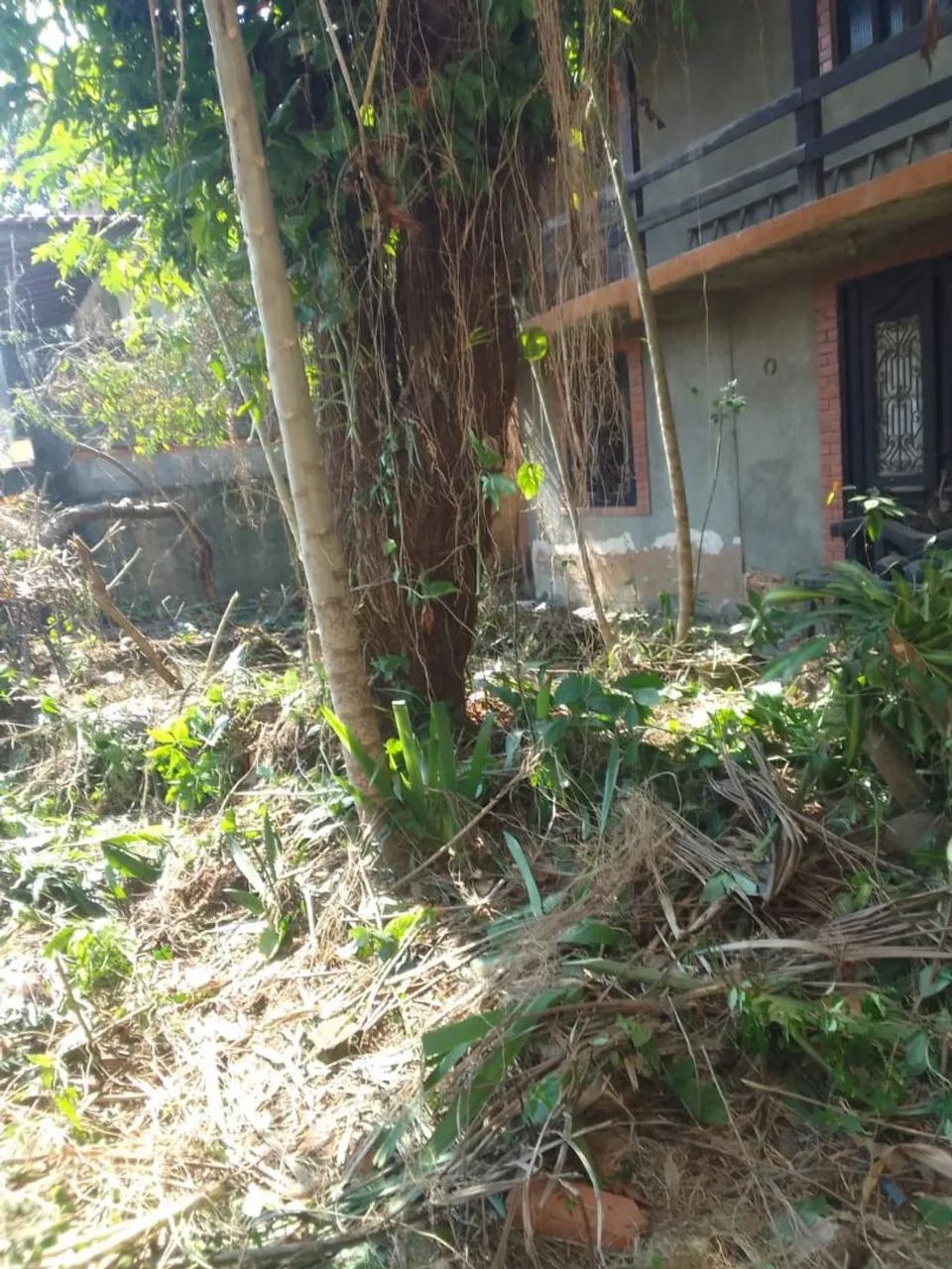Casa  - Foto 3