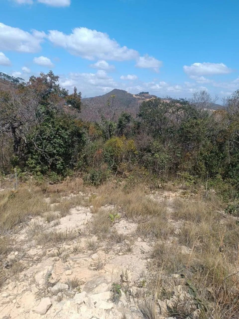 Vende chácara  aceito troca  - Foto 2