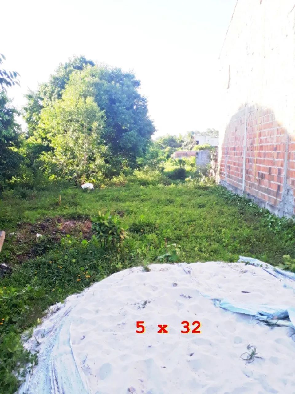 Foto - Dias DÁvila - 