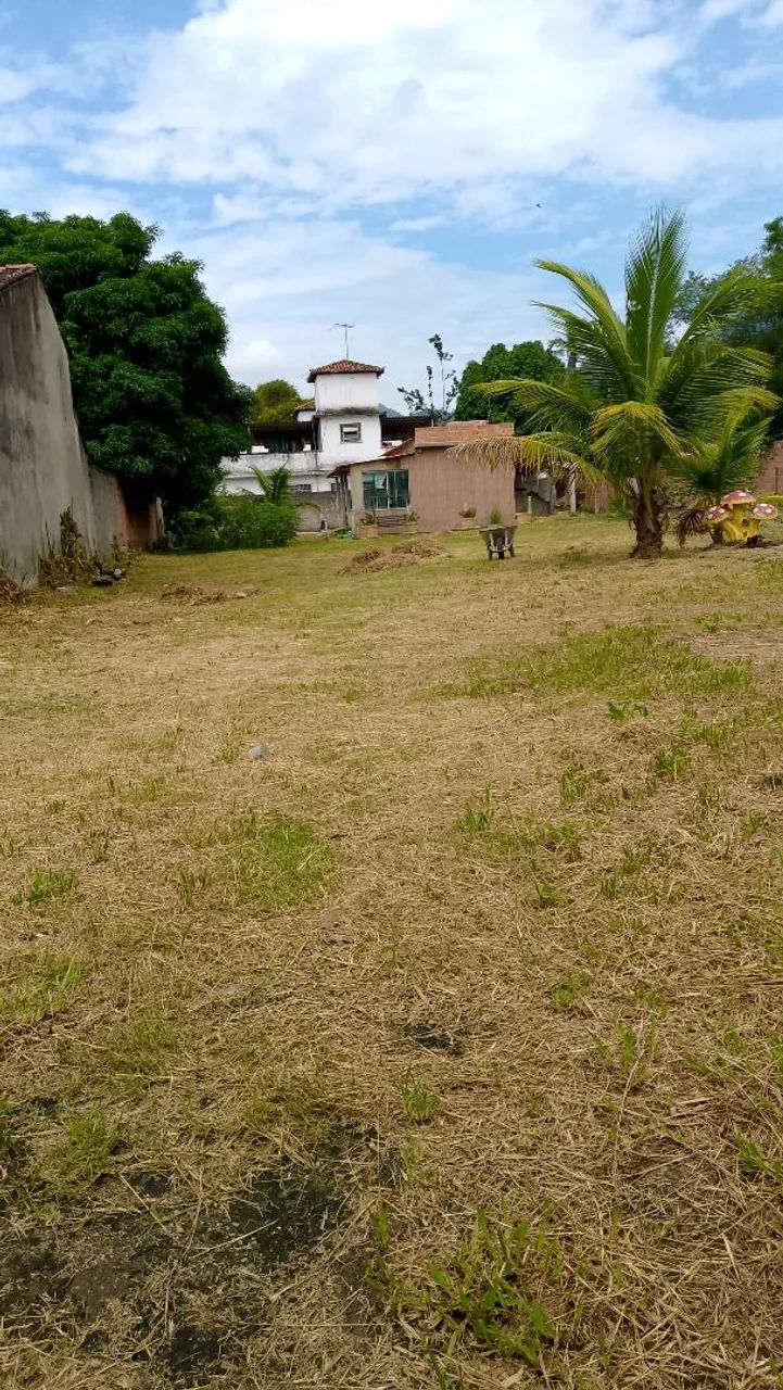 Trabalho de roçadas  .  - Foto 3