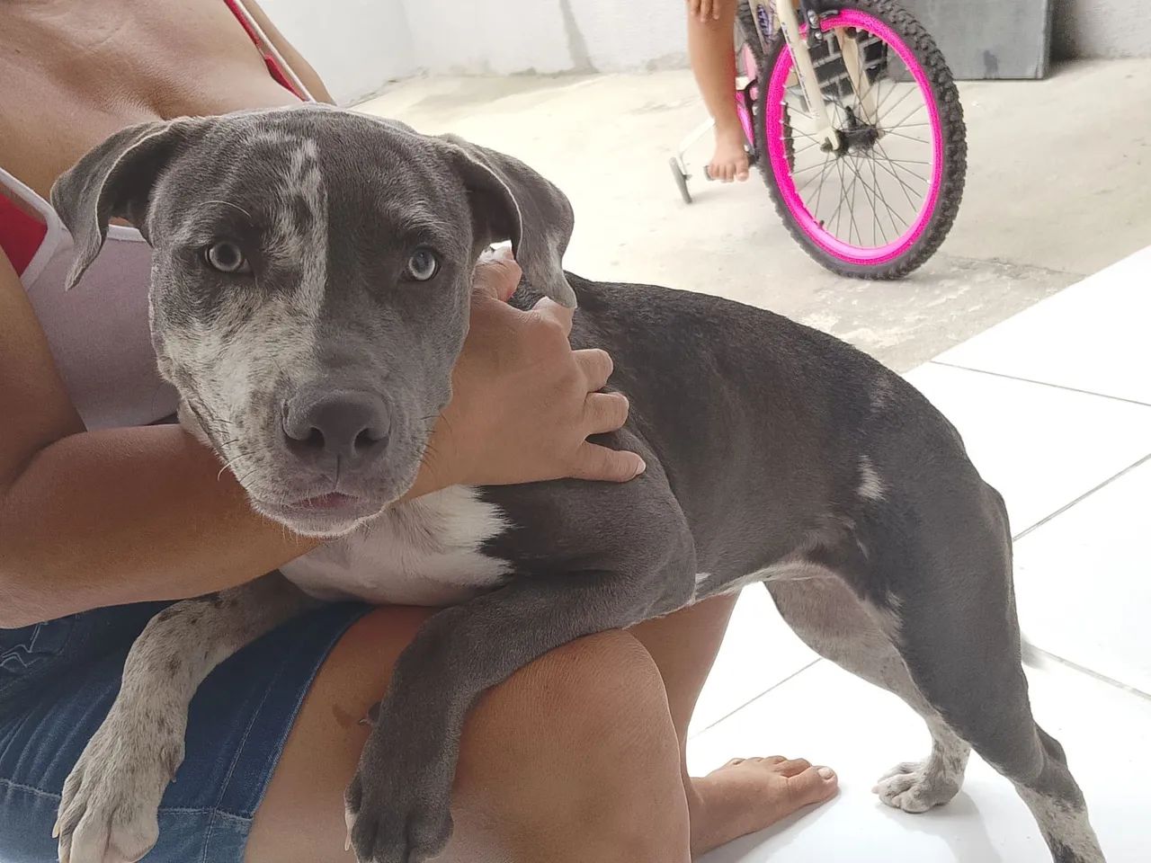 Pit monster - Foto 2