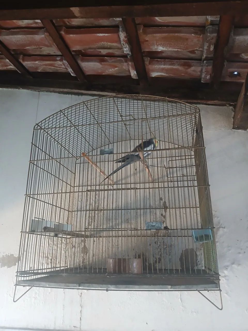 Gaiola