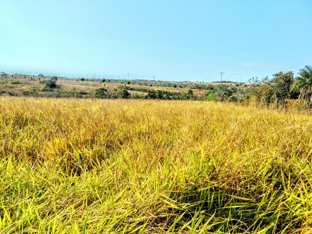 Fazenda 150 ha - Foto 3