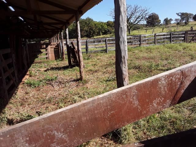Fazenda 80 Alqueires município campina verde - Foto 16