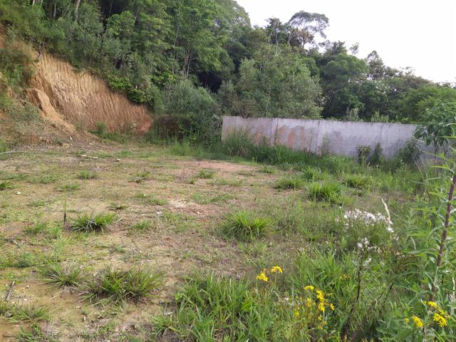 Venda terreno - Foto 2