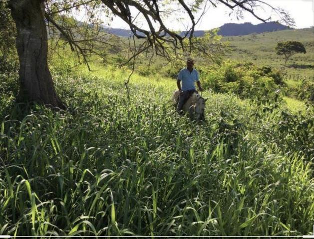 Terras com 100 hectares em alto alegre aceito Negociacao