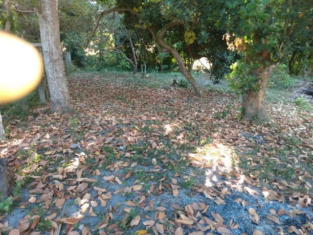 Terreno - Foto 2