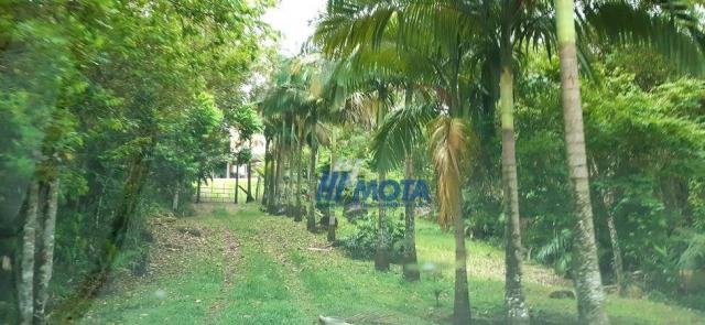 Fazenda a venda antonina com 105,2 alqueires, casa sede em 3 pavimentos, com grande capaci - Foto 13