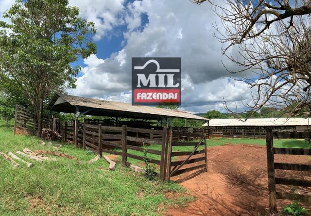 Fazenda 43 Alqueires ( 208 hectares ) Bonfinópolis-GO