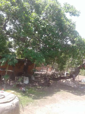Vende-se casa em altos - Foto 2