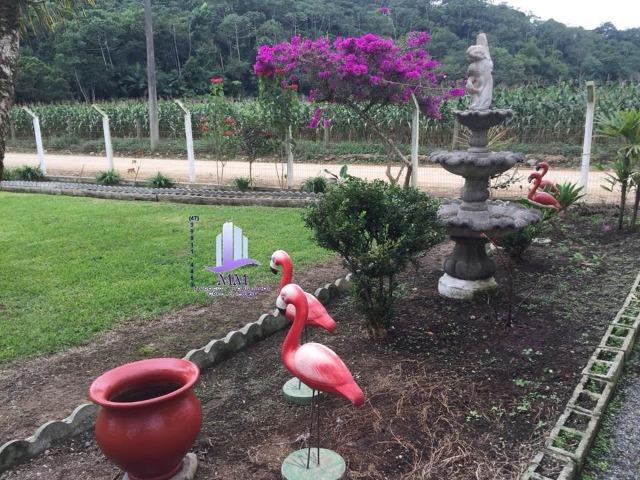 Excelente Sítio com 02 casas p/morar COD. 84 - Foto 15