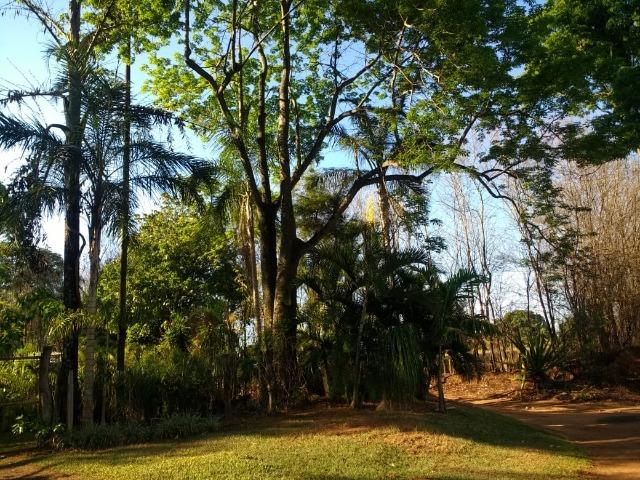 Chácara Goiânia Margem BR-153 (Pista Dupla) - Foto 19