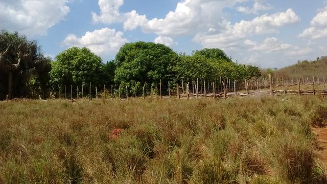 Terreno rural 4.200,0 m² - Foto 5
