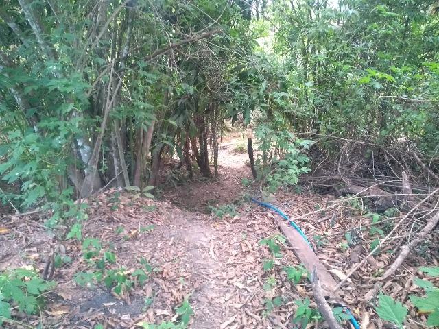 Lote em Chácara no Lago norte - Foto 11