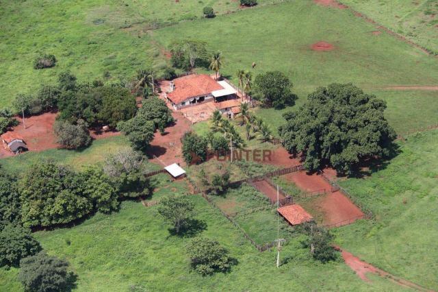 Fazenda Pouso Alto no município de Cachoeira Alta - Go. - Foto 2