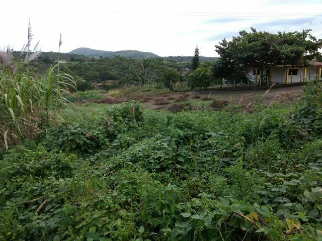 Terreno no Muricy - Foto 6