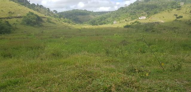 Fazenda 590,48 hectares no Leste de Minas na Região da sudene - Foto 3