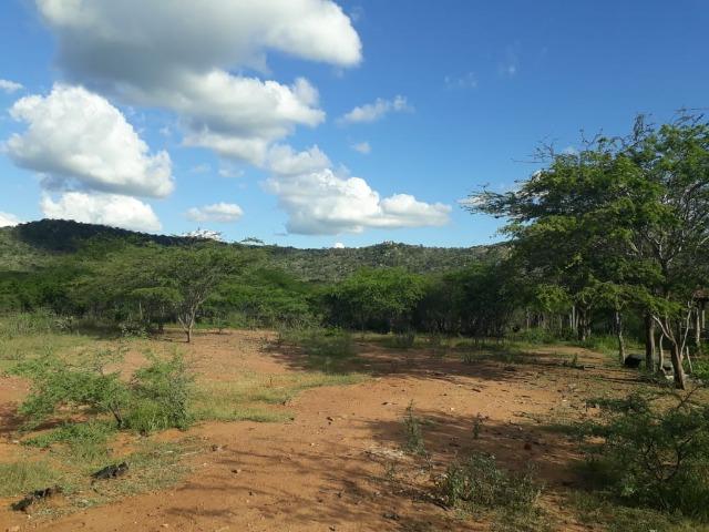 Excelente propriedade de 828 hectares, em Santa Cruz do Capibaribe - Foto 2