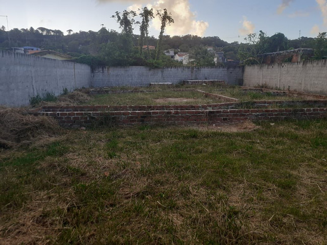 Lote 15x30 com base e radier feito, escriturado no forte Orange, Itamaracá - Foto 5