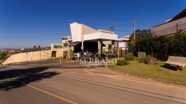 Terreno à venda, 386 m² por R$ 240.000,00 - Condomínio Picollo Villaggio - Louveira/SP - Foto 14
