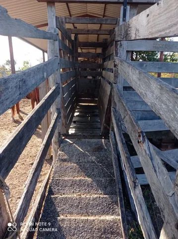 Fazenda em Almas-TO. 50 mil por alqueire. - Foto 4