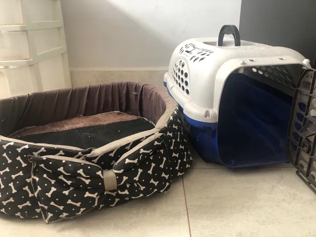 Cama pet gatos 148 an ncios na OLX Brasil