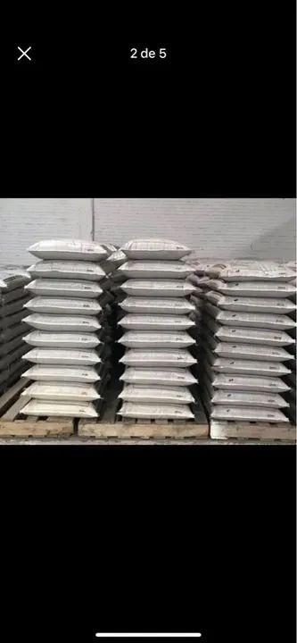 Sementes de grama Pensacola  - Foto 2