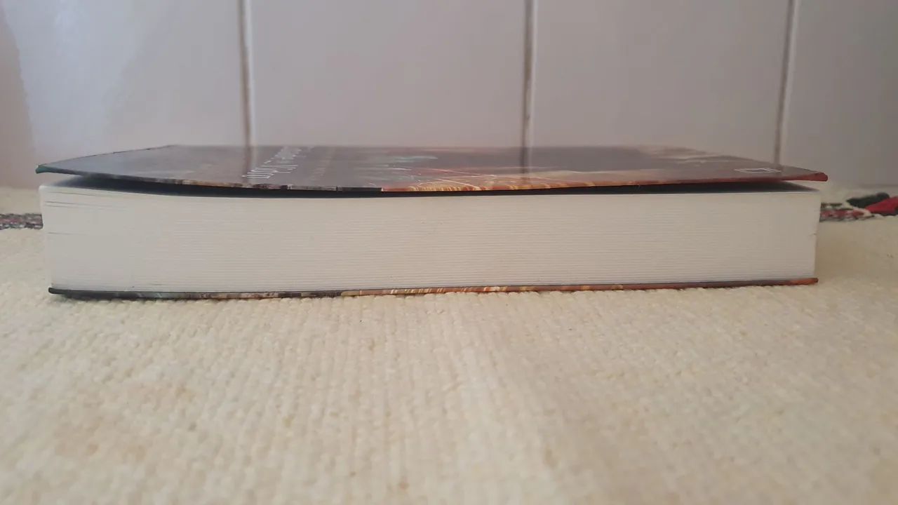 Livro Cidade de Vidro da Cassandra Clare - Foto 3