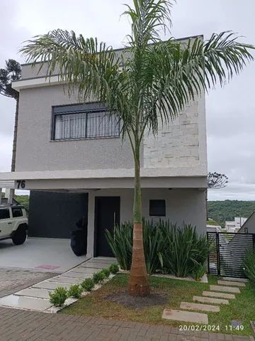 Palmeira Imperial com 6 metro  - Foto 2