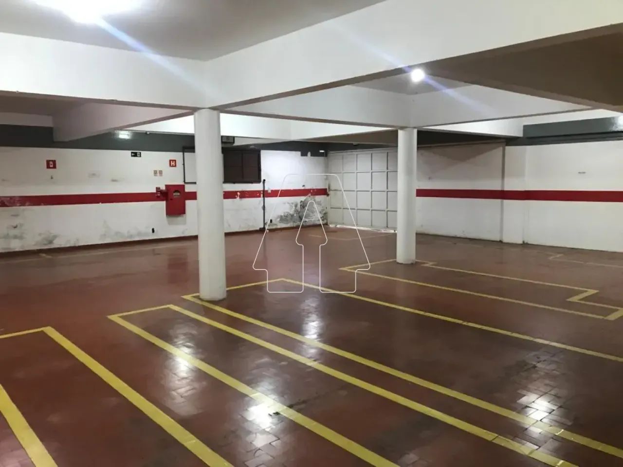 Araçatuba - Galpão/Depósito/Armazém - Vila Bandeirantes - Foto 5