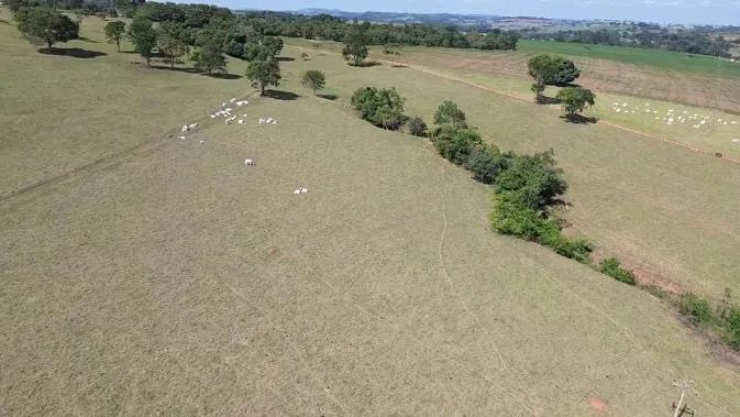 Fazenda em Goianápolis px de Goiânia e Anápolis 
