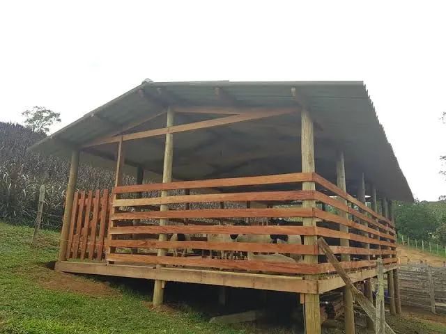 Curral pra boi e ovelha  - Foto 4